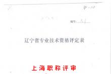 外省市中级评定表