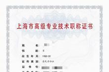 2023年高级上海电气（工程成套项目开发）